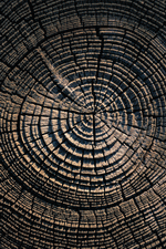 Photodisc Background Series: Natural Patterns 