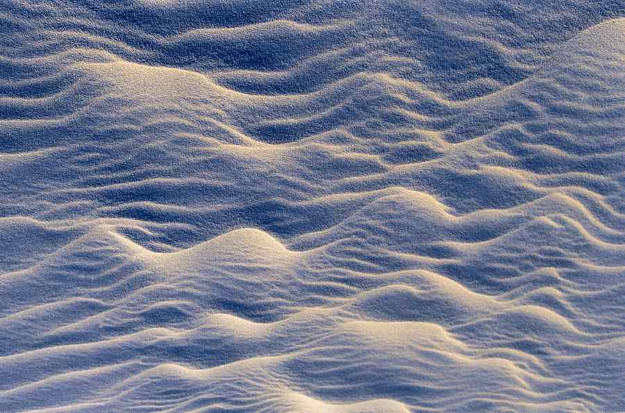 Natural Patterns - Photodisc Background Series ></a>
<script language=JavaScript> 
  var txt = 