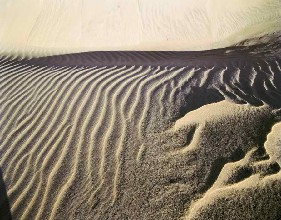 Natural Patterns - Photodisc Background Series ></a>
<script language=JavaScript> 
  var txt = 