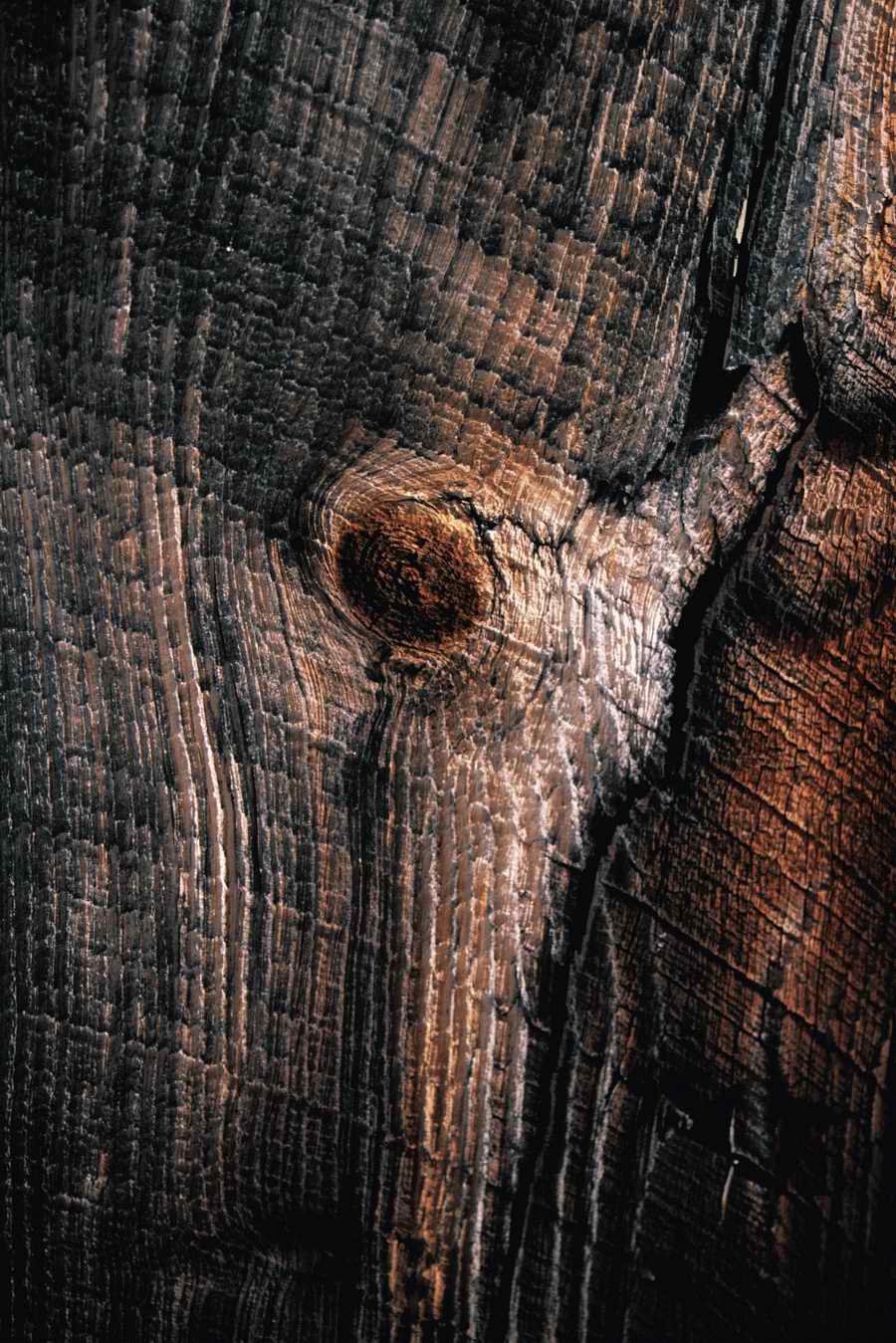 Natural Patterns - Photodisc Background Series ></a>
<script language=JavaScript> 
  var txt = 