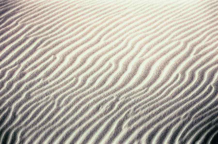 Natural Patterns - Photodisc Background Series ></a>
<script language=JavaScript> 
  var txt = 