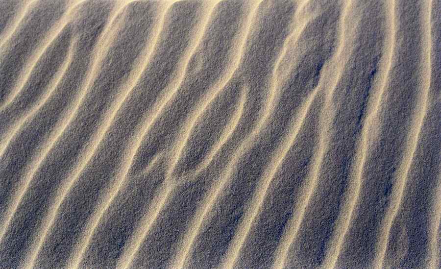 Natural Patterns - Photodisc Background Series ></a>
<script language=JavaScript> 
  var txt = 