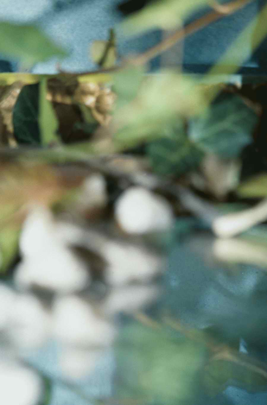 Skan Abstractions - Photodisc Background Series ></a>
<script language=JavaScript> 
  var txt = 