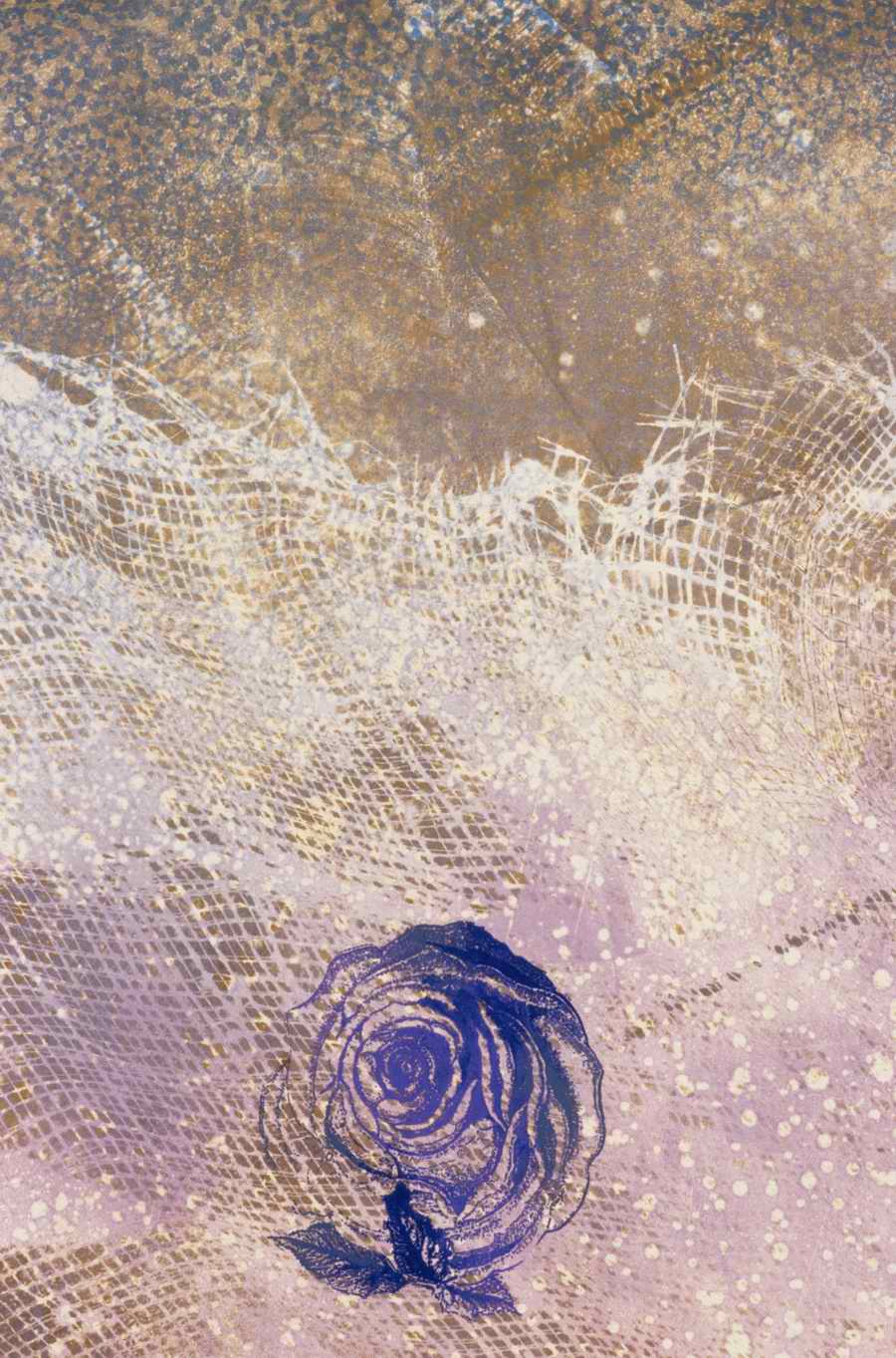 Script & Texture - Photodisc Background Series ></a>
<script language=JavaScript> 
  var txt = 