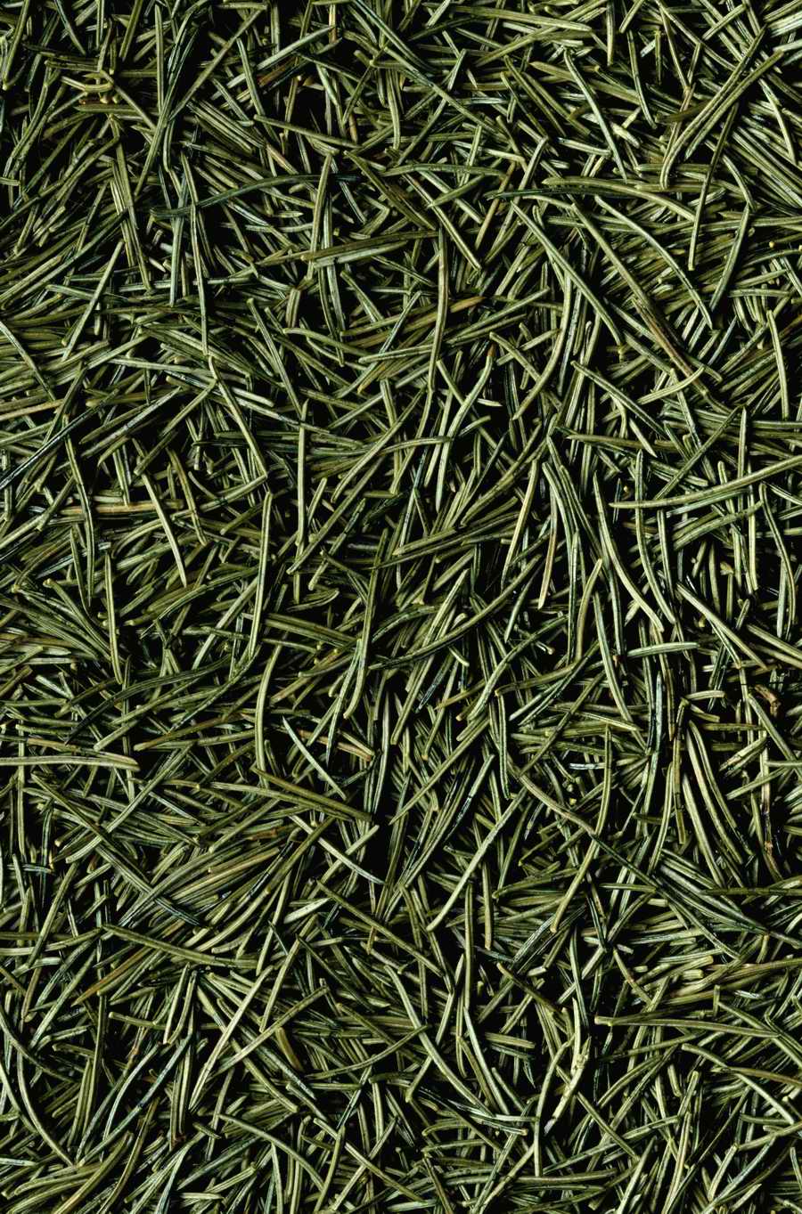 Seasonal Backgrounds - Photodisc Background Series ></a>
<script language=JavaScript> 
  var txt = 