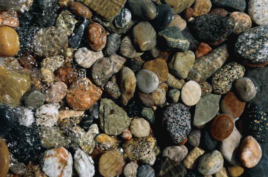 Seasonal Backgrounds - Photodisc Background Series ></a>
<script language=JavaScript> 
  var txt = 