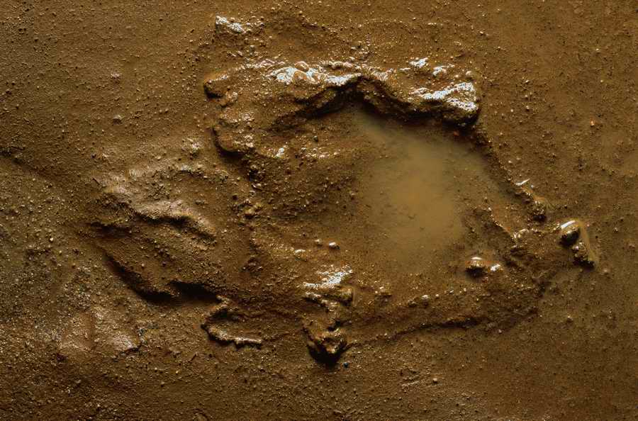 Seasonal Backgrounds - Photodisc Background Series ></a>
<script language=JavaScript> 
  var txt = 