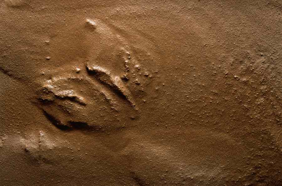 Seasonal Backgrounds - Photodisc Background Series ></a>
<script language=JavaScript> 
  var txt = 