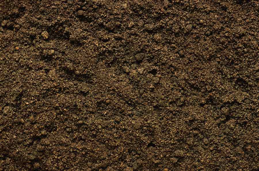 Seasonal Backgrounds - Photodisc Background Series ></a>
<script language=JavaScript> 
  var txt = 