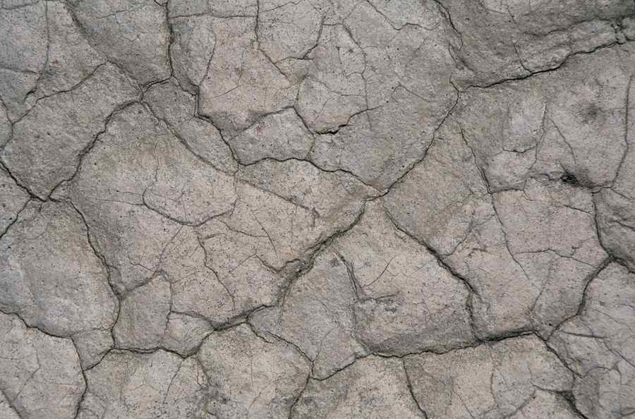 Seasonal Backgrounds - Photodisc Background Series ></a>
<script language=JavaScript> 
  var txt = 