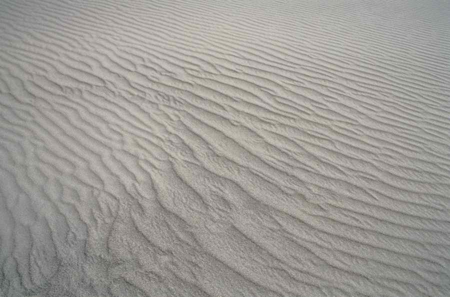 Seasonal Backgrounds - Photodisc Background Series ></a>
<script language=JavaScript> 
  var txt = 