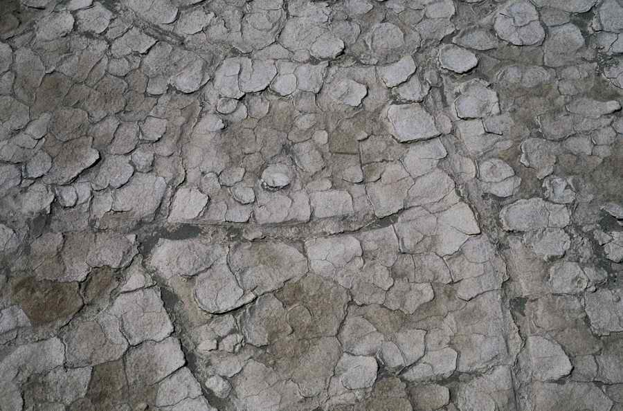 Seasonal Backgrounds - Photodisc Background Series ></a>
<script language=JavaScript> 
  var txt = 