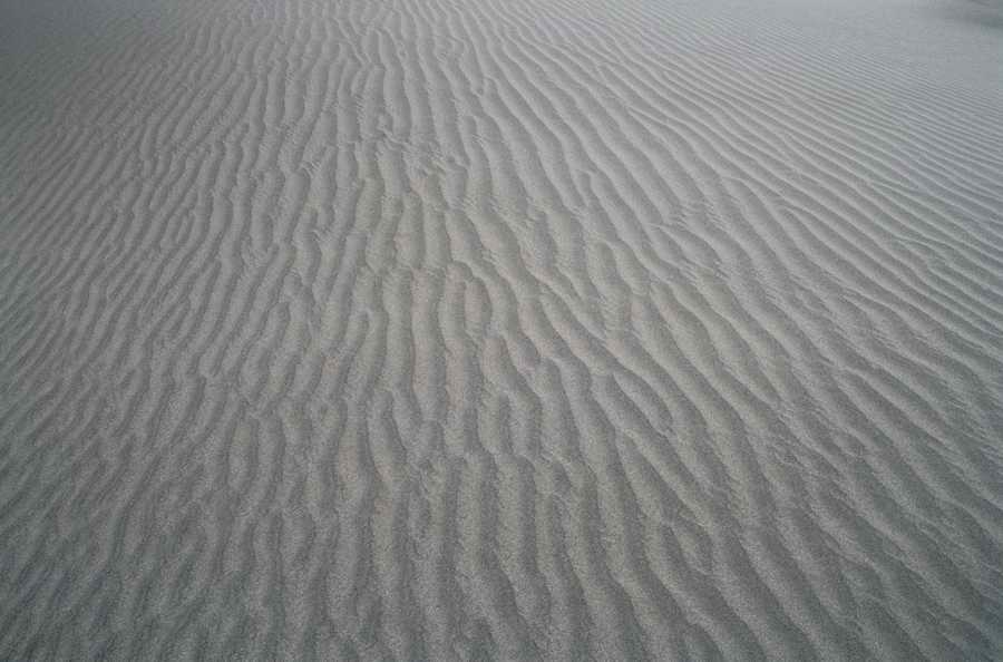 Seasonal Backgrounds - Photodisc Background Series ></a>
<script language=JavaScript> 
  var txt = 