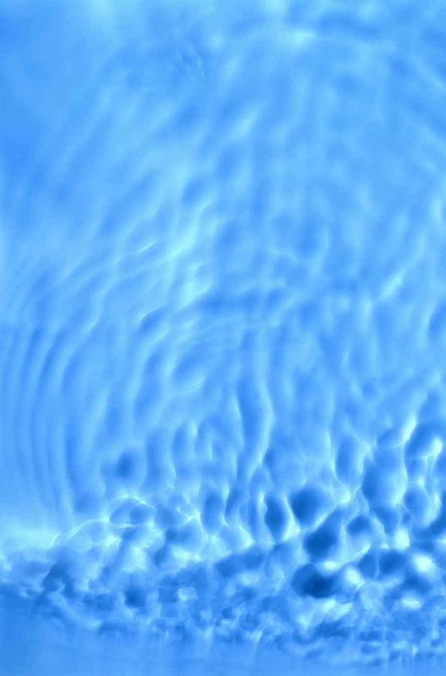 Seasonal Backgrounds - Photodisc Background Series ></a>
<script language=JavaScript> 
  var txt = 
