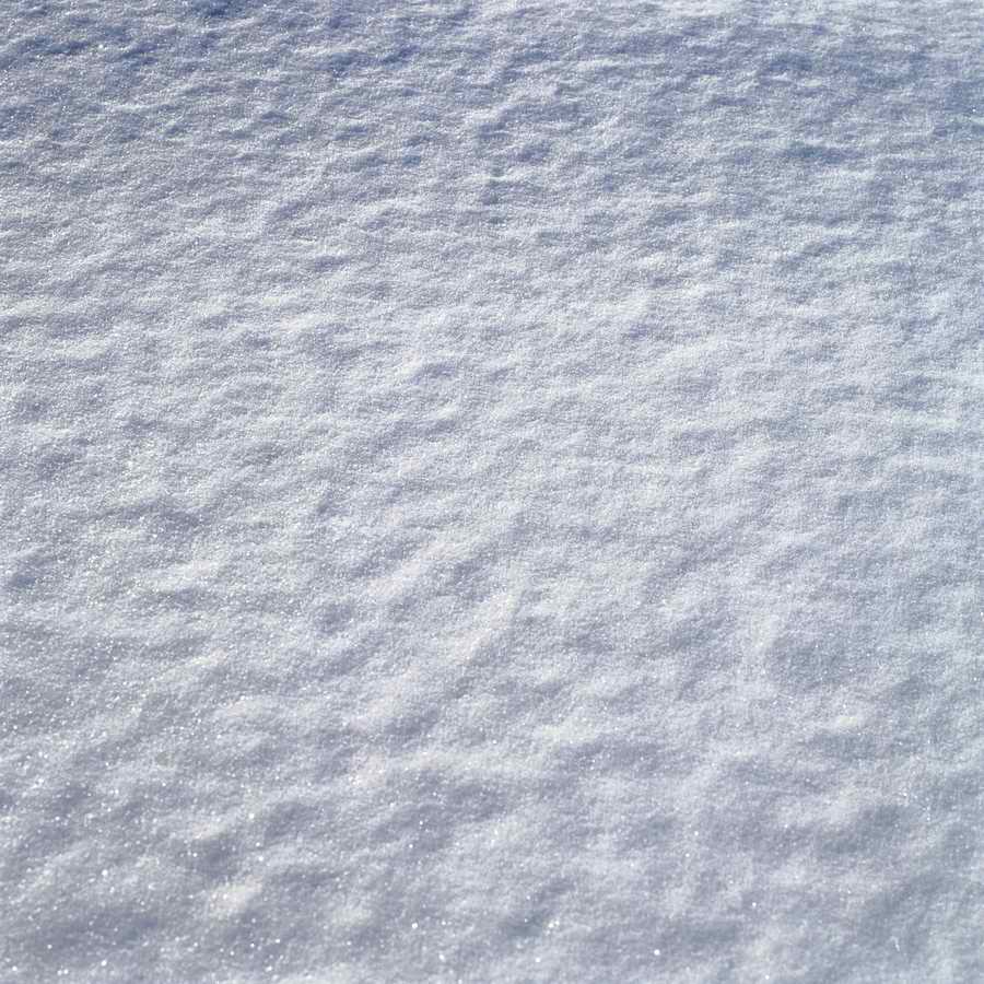 Seasonal Backgrounds - Photodisc Background Series ></a>
<script language=JavaScript> 
  var txt = 