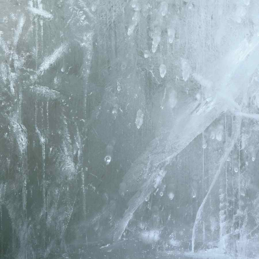 Seasonal Backgrounds - Photodisc Background Series ></a>
<script language=JavaScript> 
  var txt = 