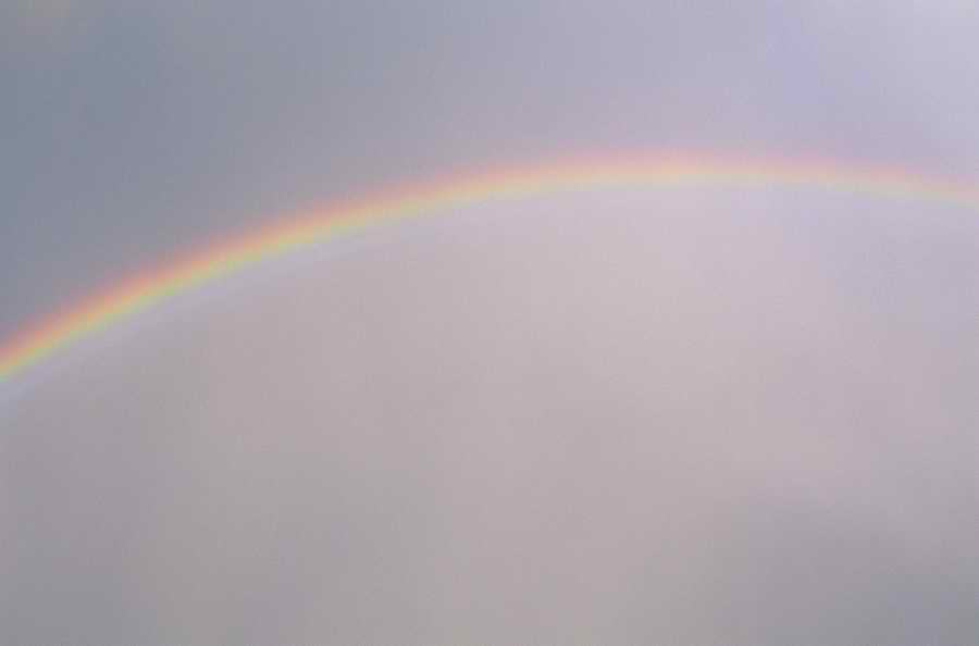 Seasonal Backgrounds - Photodisc Background Series ></a>
<script language=JavaScript> 
  var txt = 