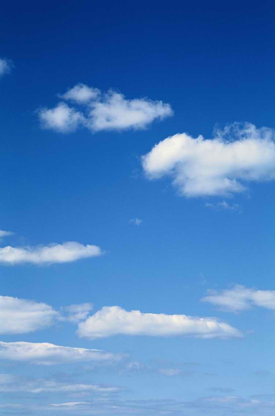 Seasonal Backgrounds - Photodisc Background Series ></a>
<script language=JavaScript> 
  var txt = 