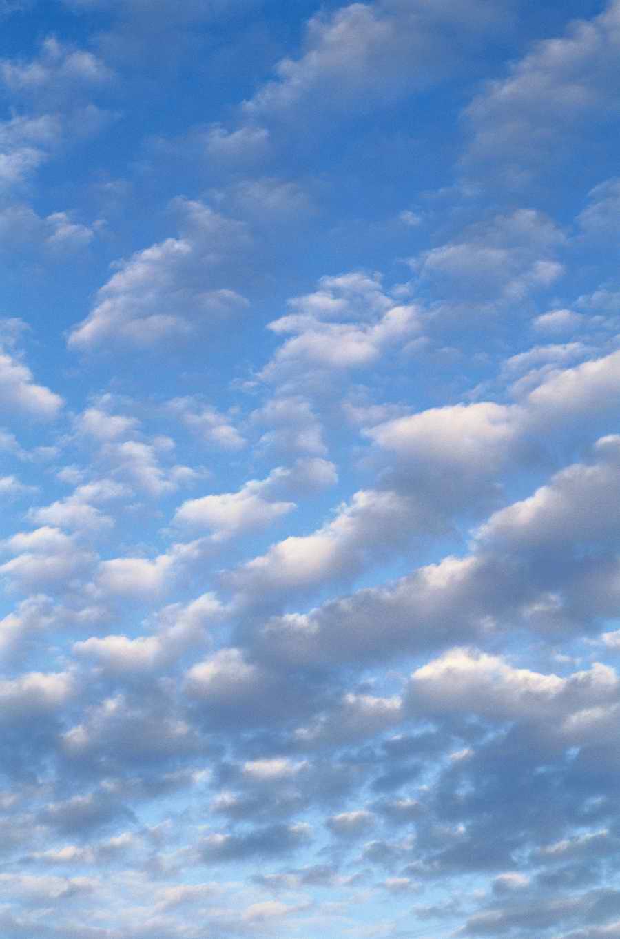 Seasonal Backgrounds - Photodisc Background Series ></a>
<script language=JavaScript> 
  var txt = 