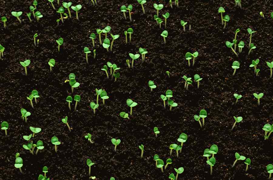 Seasonal Backgrounds - Photodisc Background Series ></a>
<script language=JavaScript> 
  var txt = 