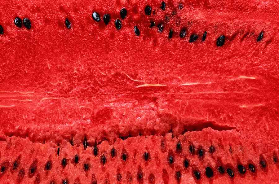 Seasonal Backgrounds - Photodisc Background Series ></a>
<script language=JavaScript> 
  var txt = 