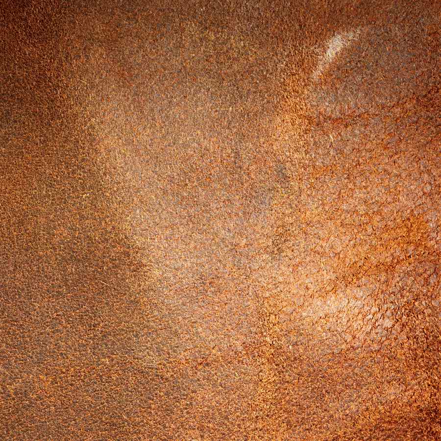 Studio Backdrops - Photodisc Background Series ></a>
<script language=JavaScript> 
  var txt = 