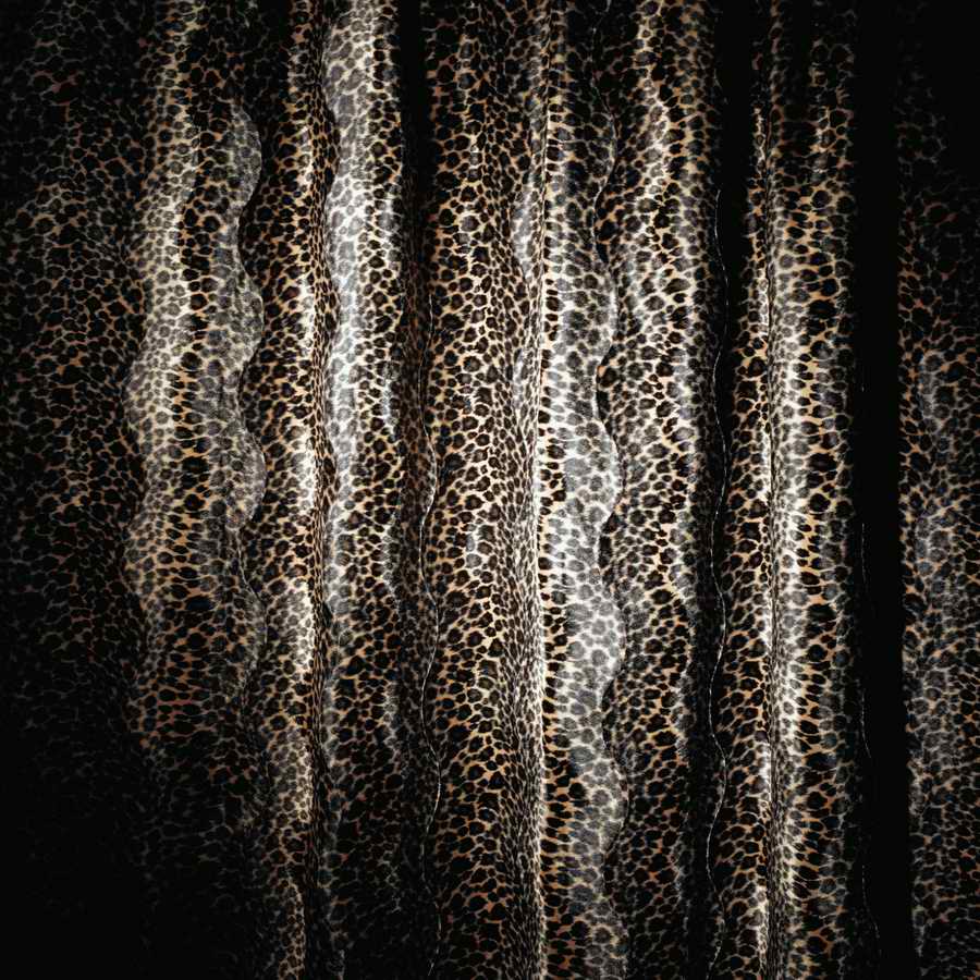 Studio Backdrops - Photodisc Background Series ></a>
<script language=JavaScript> 
  var txt = 