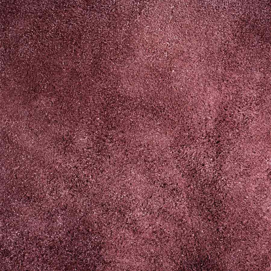 Studio Backdrops - Photodisc Background Series ></a>
<script language=JavaScript> 
  var txt = 