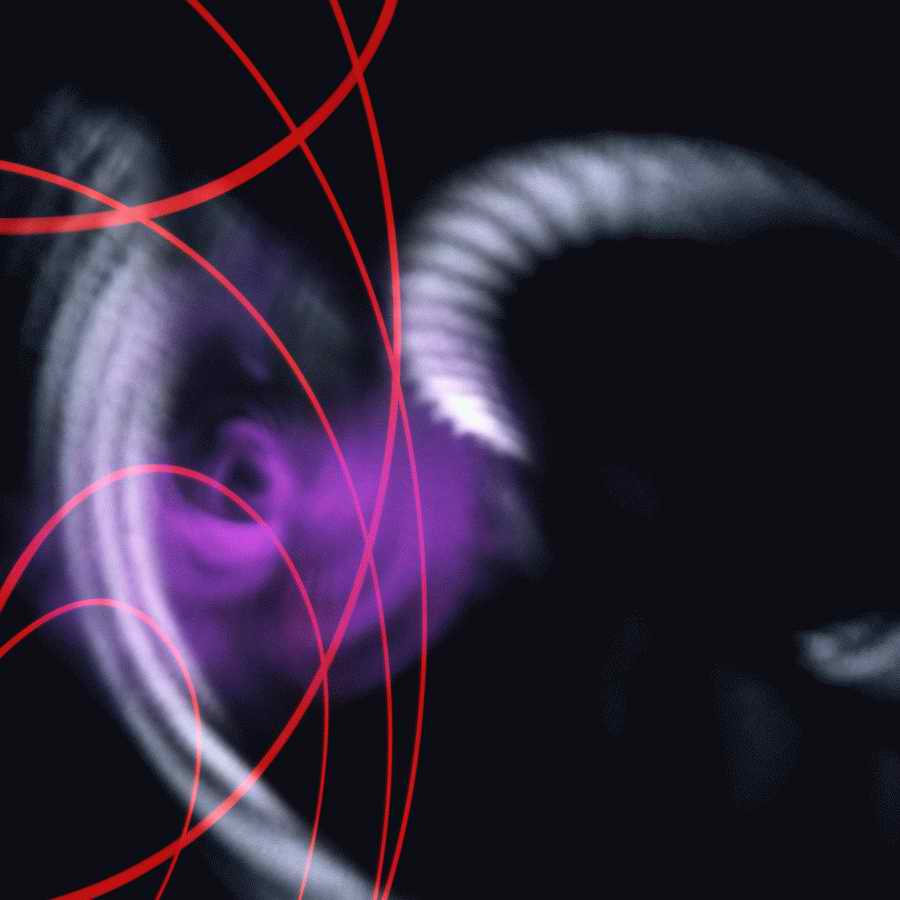 Wow & Flutter - Photodisc Background Series ></a>
<script language=JavaScript> 
  var txt = 