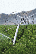Photodisc: Agriculture 