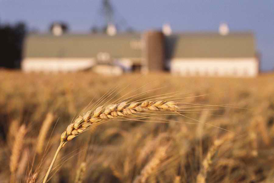 Agriculture - Photodisc ></a>
<script language=JavaScript> 
  var txt = 