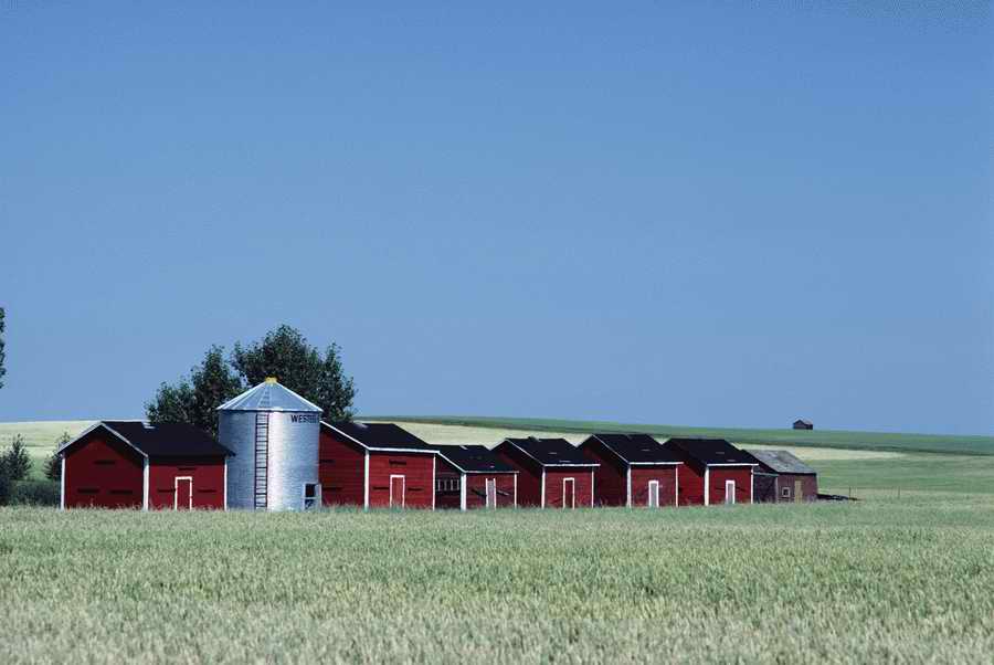 Agriculture - Photodisc ></a>
<script language=JavaScript> 
  var txt = 