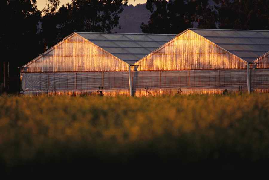 Agriculture - Photodisc ></a>
<script language=JavaScript> 
  var txt = 