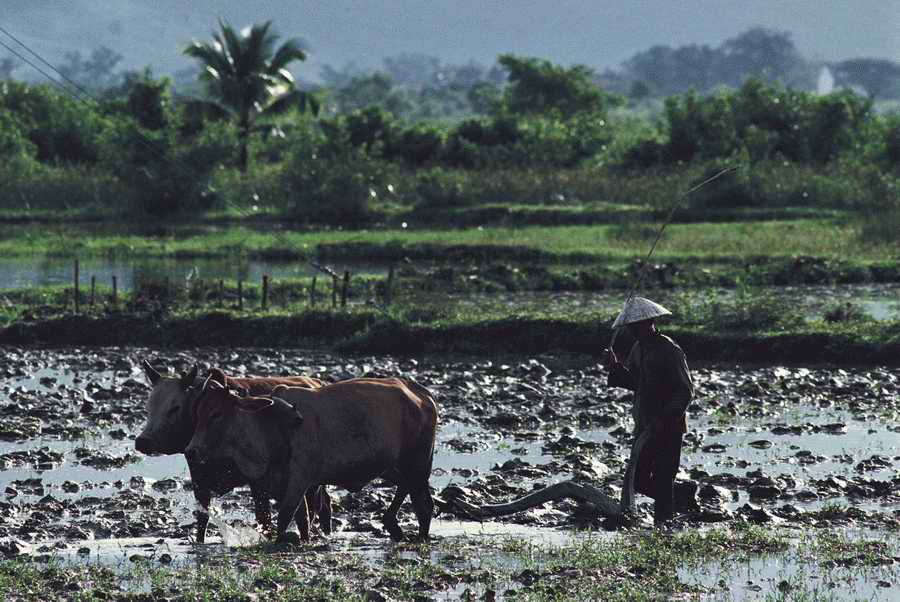 Agriculture - Photodisc ></a>
<script language=JavaScript> 
  var txt = 