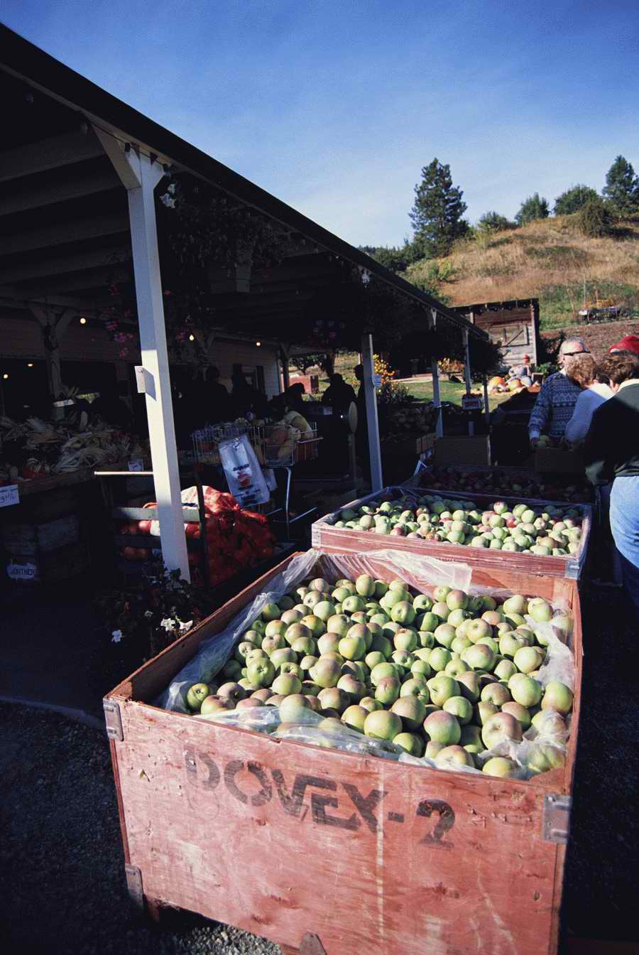 Agriculture - Photodisc ></a>
<script language=JavaScript> 
  var txt = 