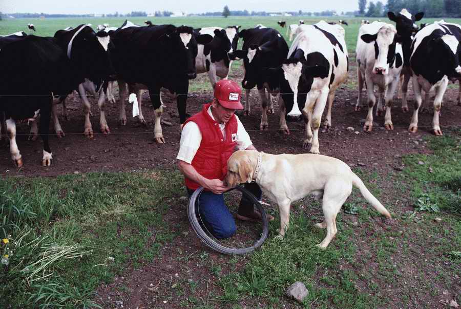 Agriculture - Photodisc ></a>
<script language=JavaScript> 
  var txt = 