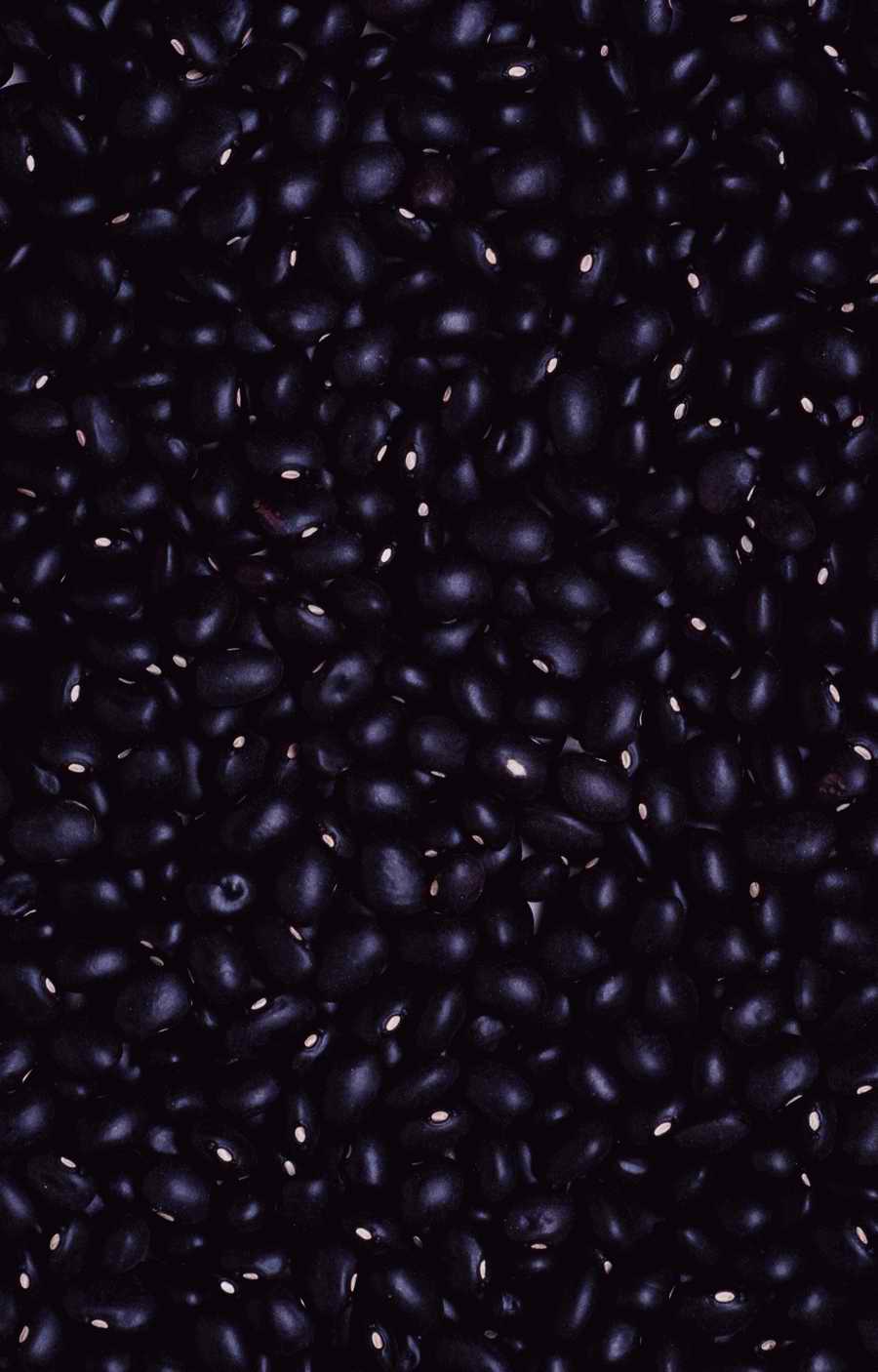 Backgrounds & Objects - Photodisc ></a>
<script language=JavaScript> 
  var txt = 