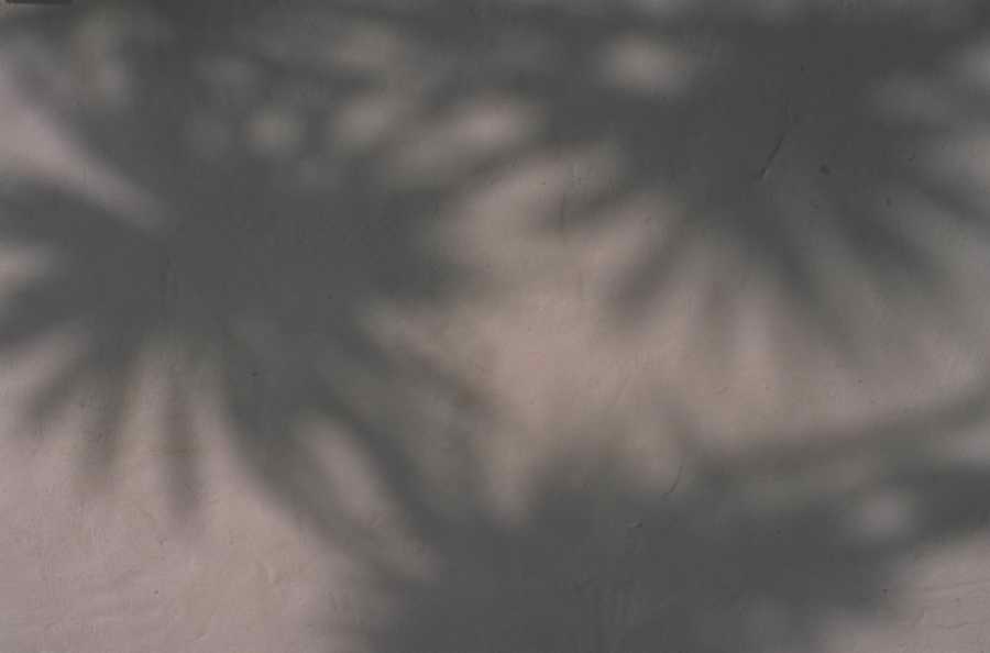 Backgrounds & Textures [PD3] - Photodisc ></a>
<script language=JavaScript> 
  var txt = 
