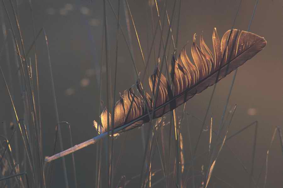 Backgrounds & Textures [PD3] - Photodisc ></a>
<script language=JavaScript> 
  var txt = 