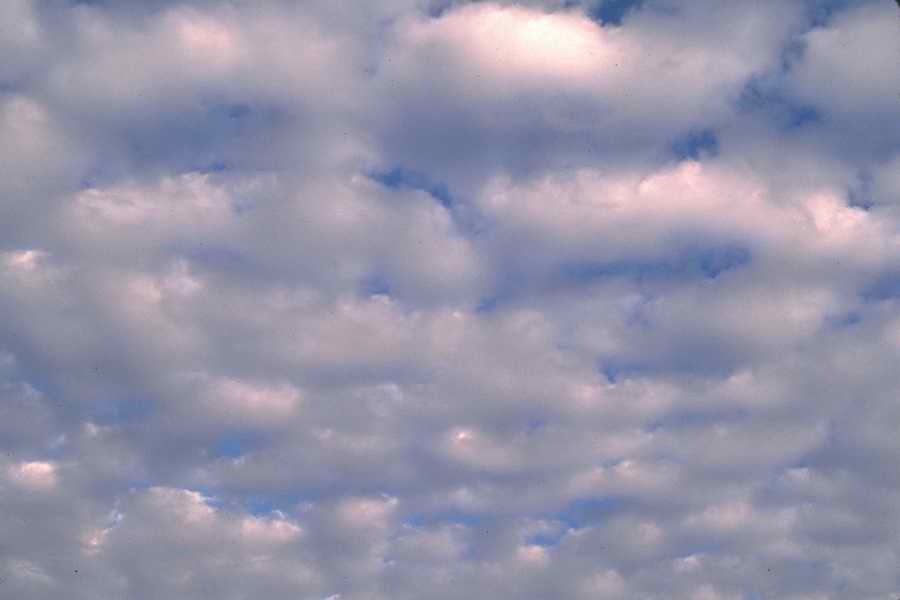 Backgrounds & Textures [PD3] - Photodisc ></a>
<script language=JavaScript> 
  var txt = 