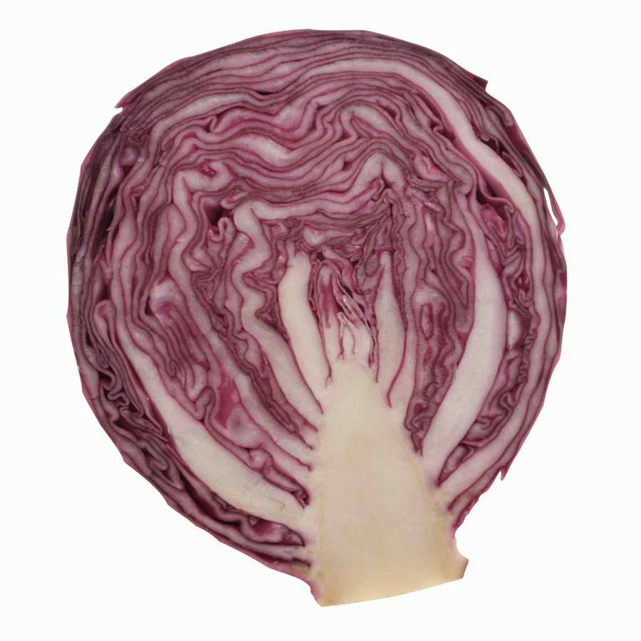 Contemporary Cuisine - Photodisc ></a>
<script language=JavaScript> 
  var txt = 