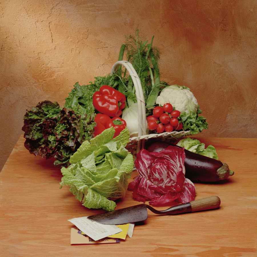 Contemporary Cuisine - Photodisc ></a>
<script language=JavaScript> 
  var txt = 