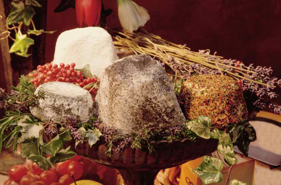 Contemporary Cuisine - Photodisc ></a>
<script language=JavaScript> 
  var txt = 