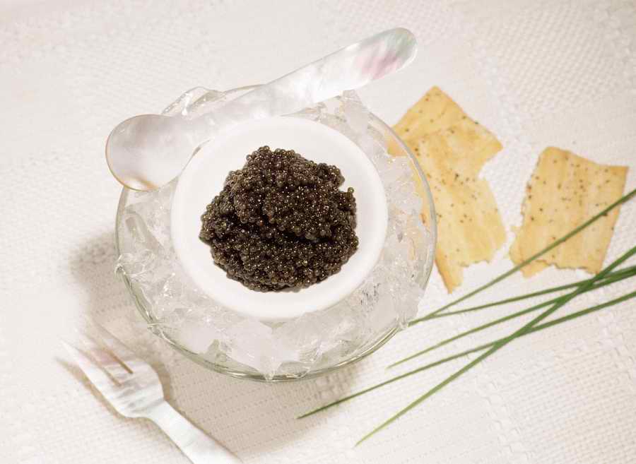 Contemporary Cuisine - Photodisc ></a>
<script language=JavaScript> 
  var txt = 