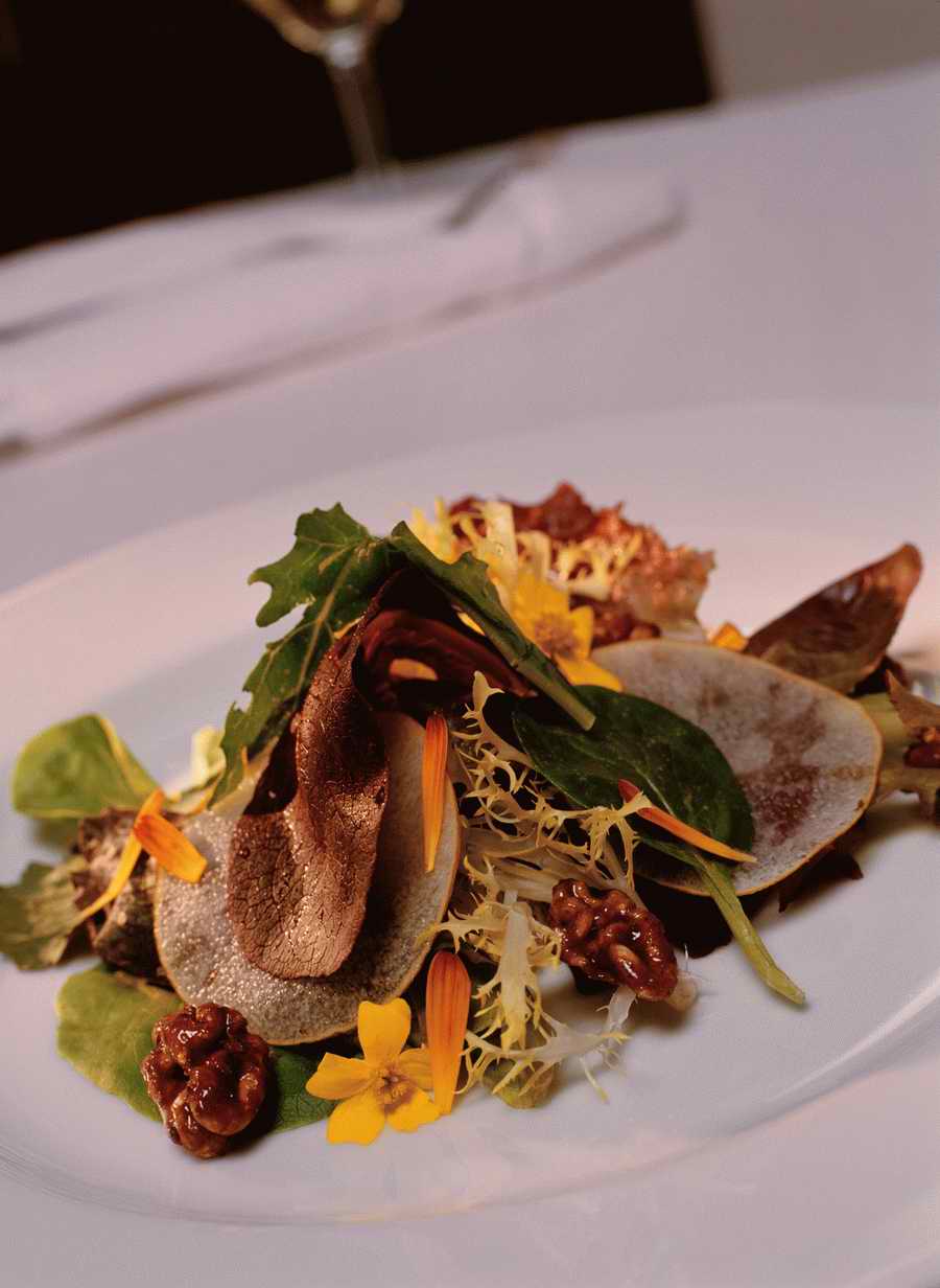 Contemporary Cuisine - Photodisc ></a>
<script language=JavaScript> 
  var txt = 