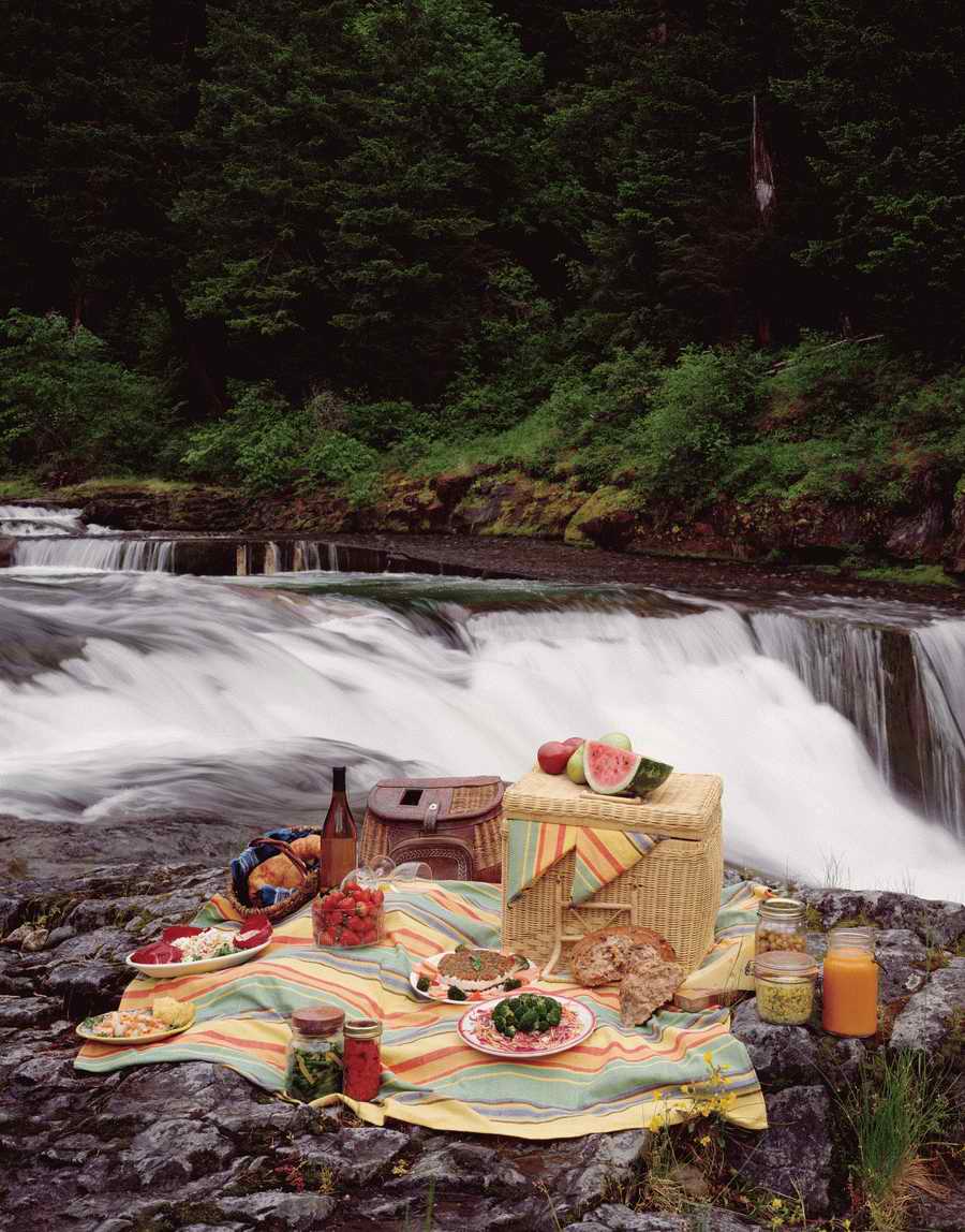 Contemporary Cuisine - Photodisc ></a>
<script language=JavaScript> 
  var txt = 