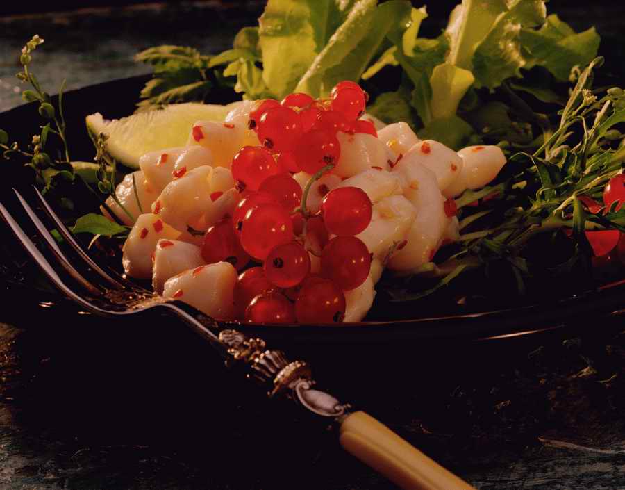 Contemporary Cuisine - Photodisc ></a>
<script language=JavaScript> 
  var txt = 