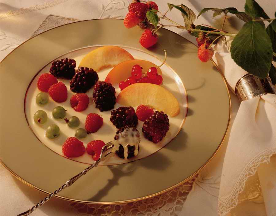Contemporary Cuisine - Photodisc ></a>
<script language=JavaScript> 
  var txt = 