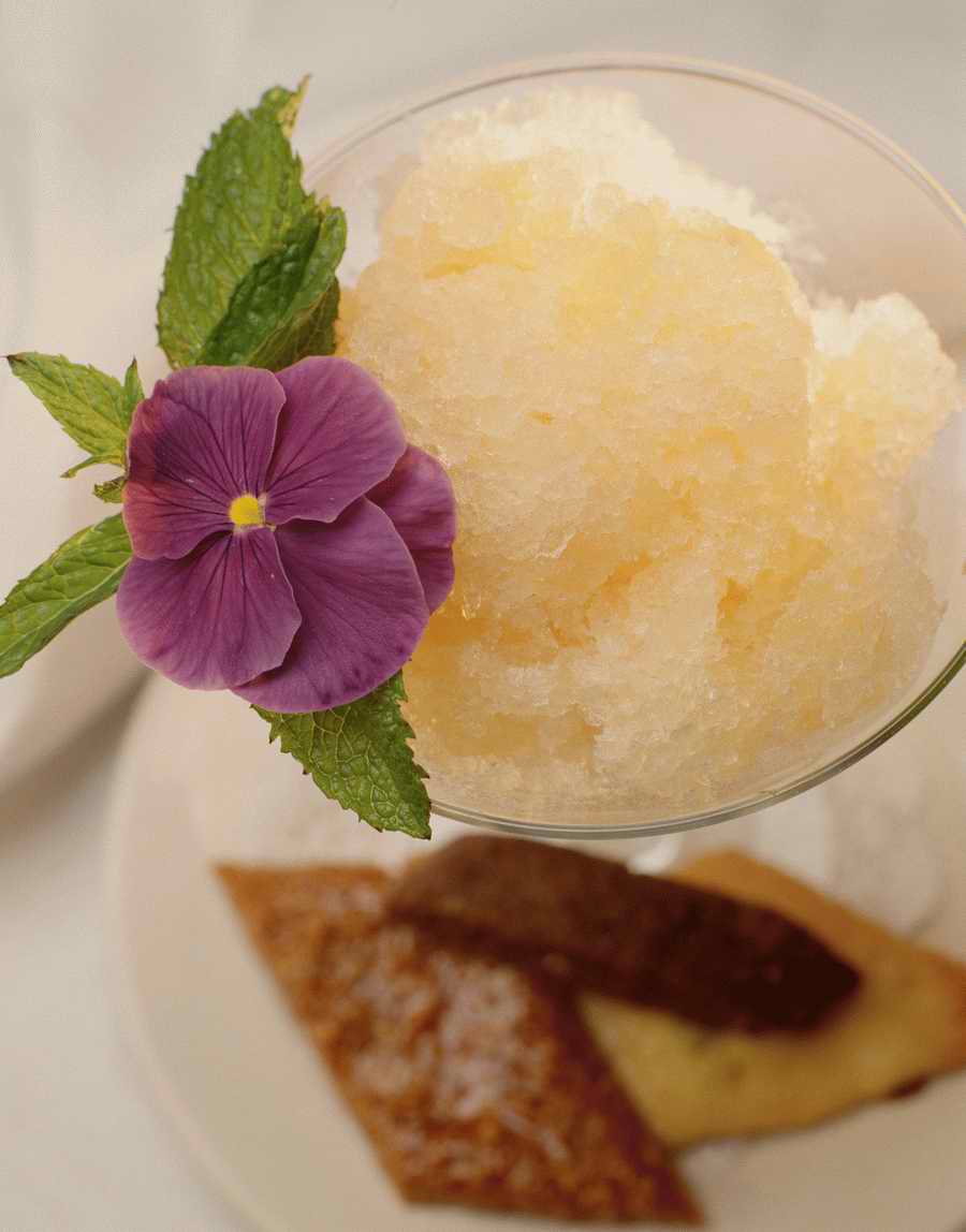 Contemporary Cuisine - Photodisc ></a>
<script language=JavaScript> 
  var txt = 