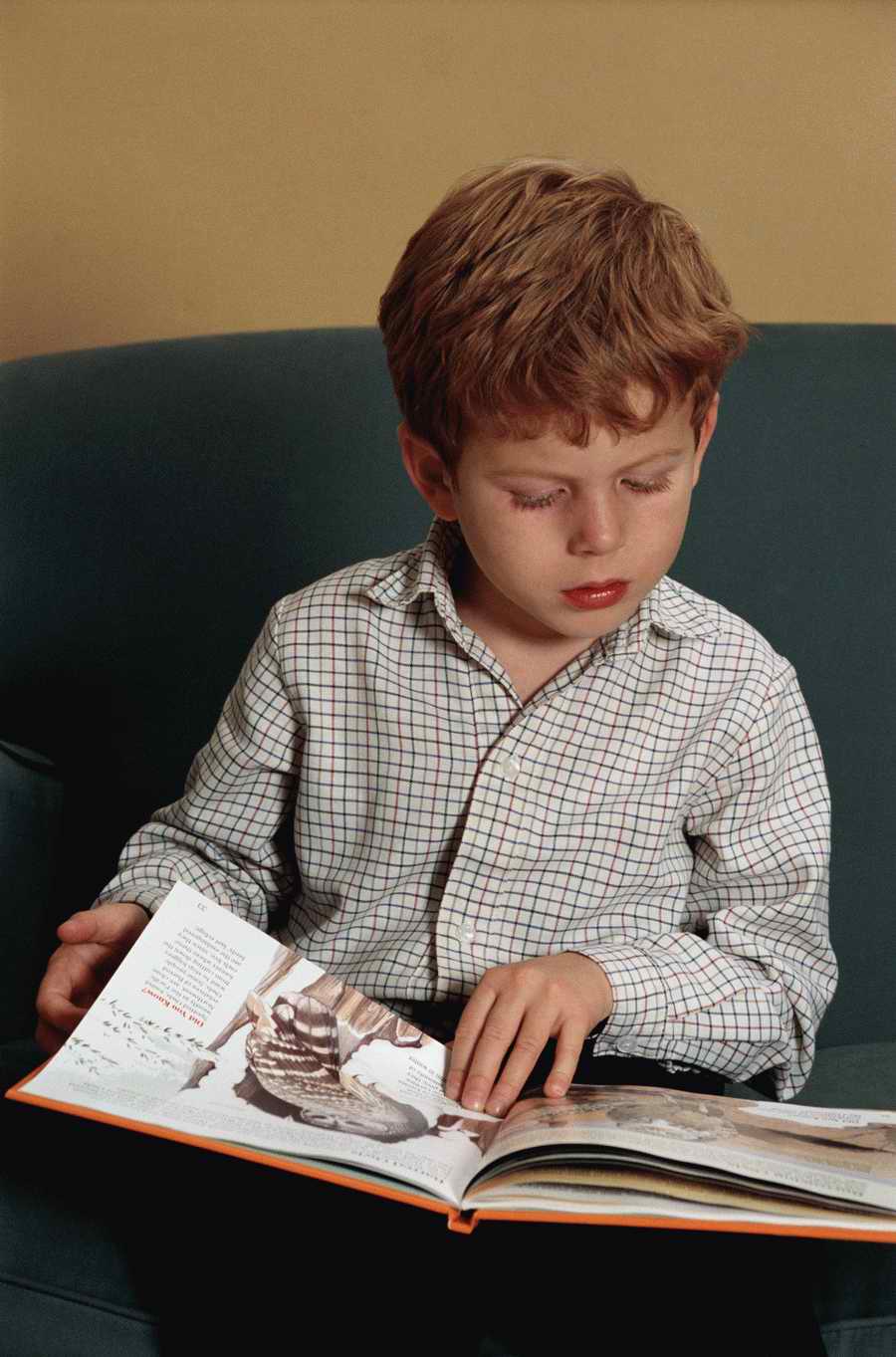 Education [PD41] - Photodisc ></a>
<script language=JavaScript> 
  var txt = 